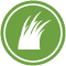 the-juicery-wheatgrass-icon the-juicery-wheatgrass-icon