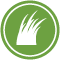 the-juicery-wheatgrass-icon